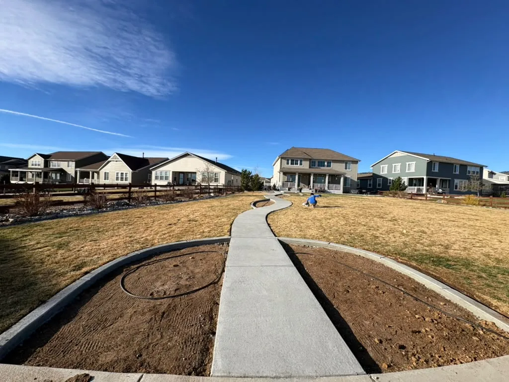 Long curved concrete path across a backyard